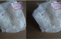 bổ sung thể hình 7-keto DHEA steroid bột trắng CAS: 566-19-8