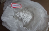 Anti Estrogen Steroid bột trắng Exemestane Aromasin CAS: 107868-30-4