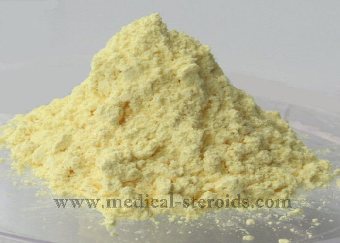 Methyltrienolone Muscle Building Trenbolone Powder Metribolone CAS 965-93-5 Giá bán buôn